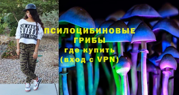 дурь Кинешма