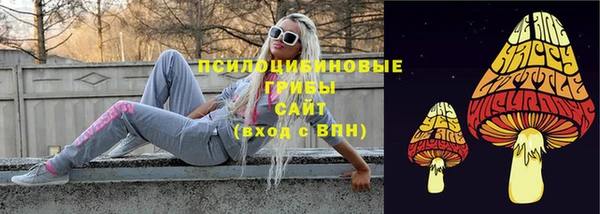 мдма Козловка