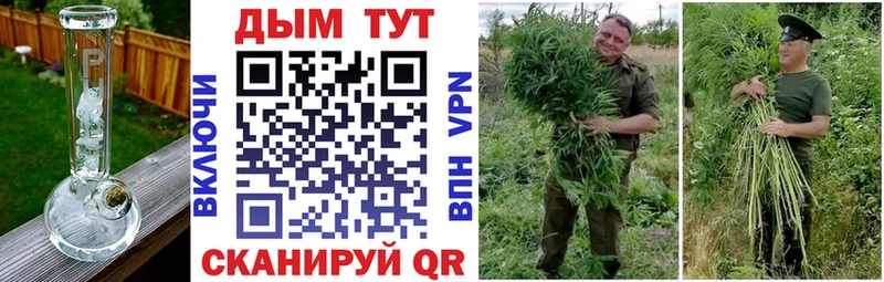 Купить где  Волосово  Бошки Шишки MAZAR 